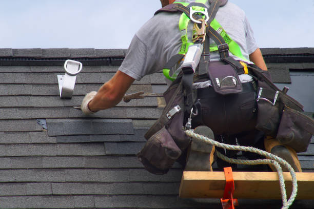 Best Roof Gutter Cleaning  in Lawton, MI