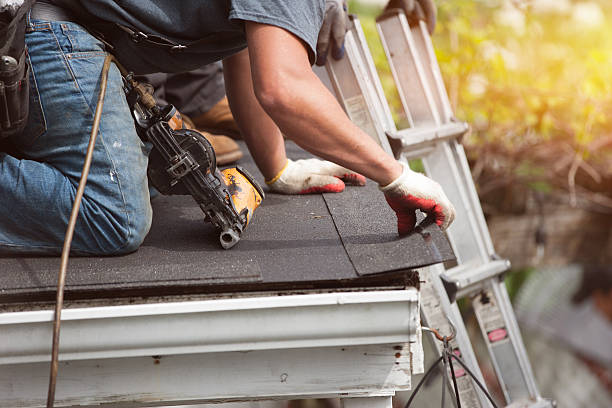 Best Roof Repair Services  in Lawton, MI