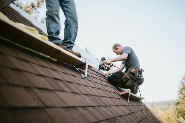 Best Roof Waterproofing Services  in Lawton, MI